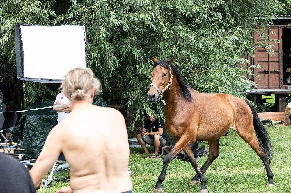 Jedna rodina: Sympatická koňačka Zuzana v podání Vandy Hybnerové přinese do seriálu humor i lásku