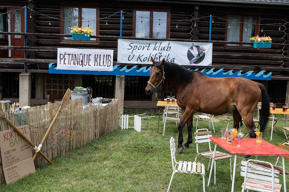 Jedna rodina: Sympatická koňačka Zuzana v podání Vandy Hybnerové přinese do seriálu humor i lásku