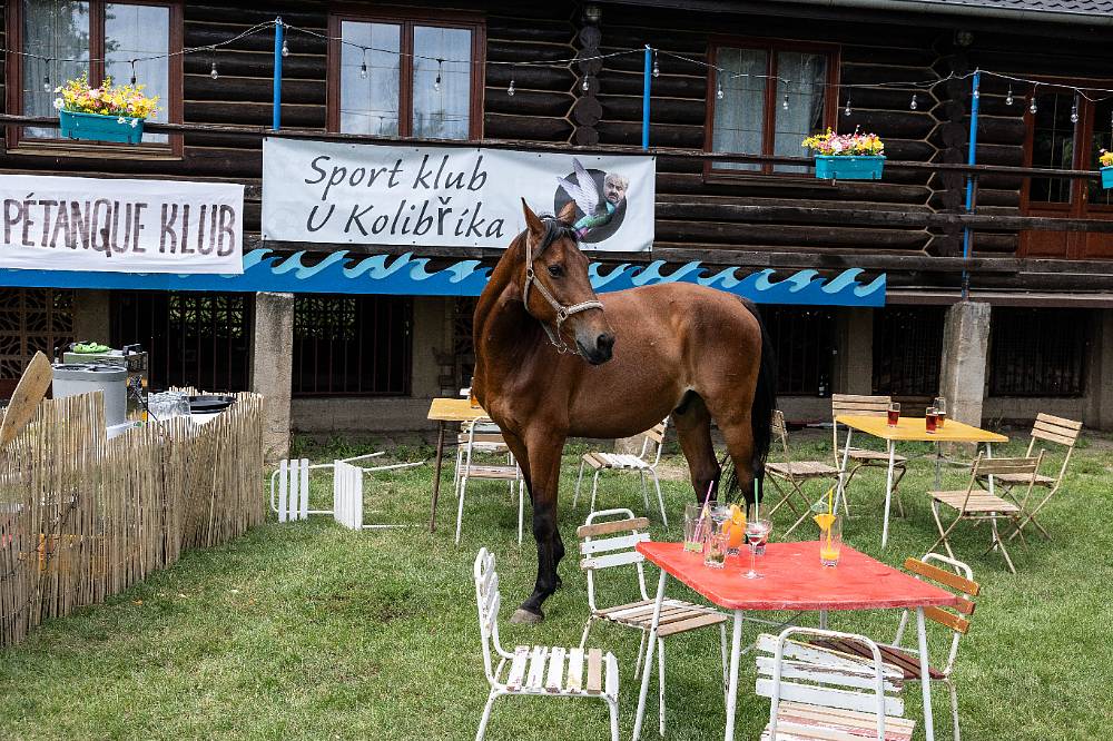 Jedna rodina: Sympatická koňačka Zuzana v podání Vandy Hybnerové přinese do seriálu humor i lásku