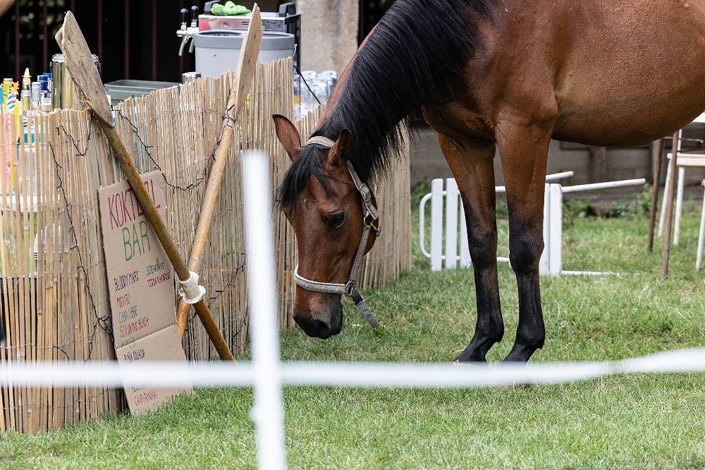 Jedna rodina: Sympatická koňačka Zuzana v podání Vandy Hybnerové přinese do seriálu humor i lásku