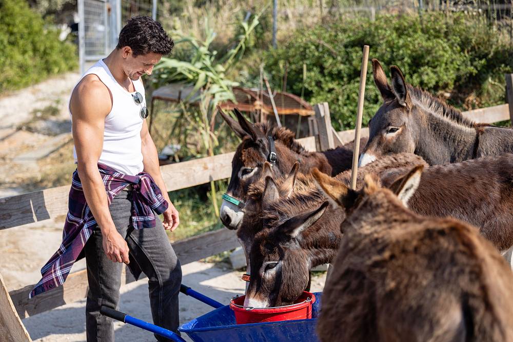 Bachelor Česko: Lucii bylo na zvracení, když viděla spokojenou Viky, která si užila rande