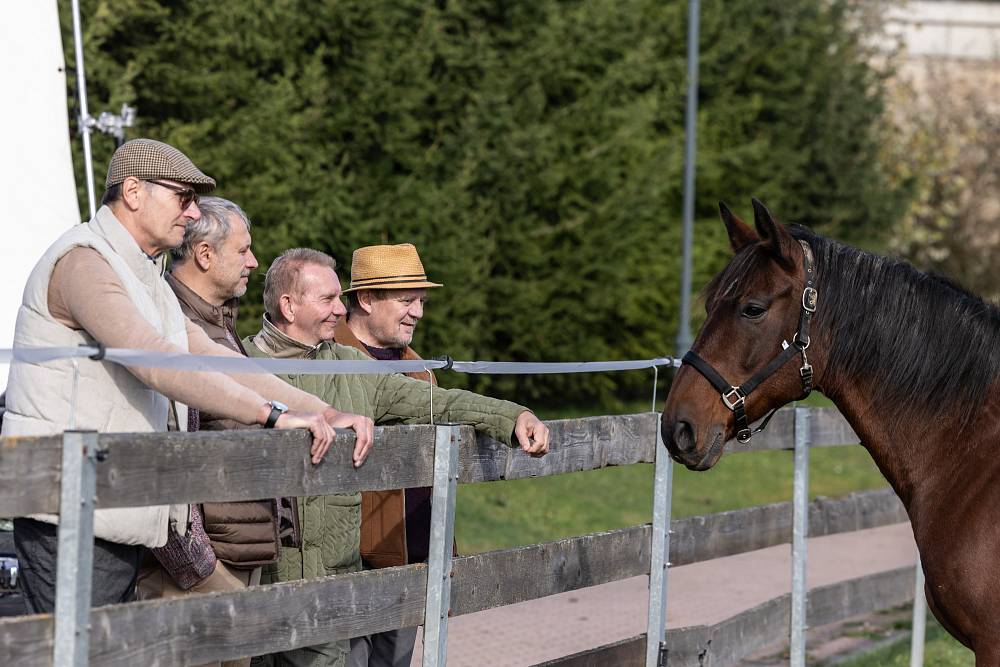 Jedna rodina: Koně chtějí lásku a Vilda chce být otcem