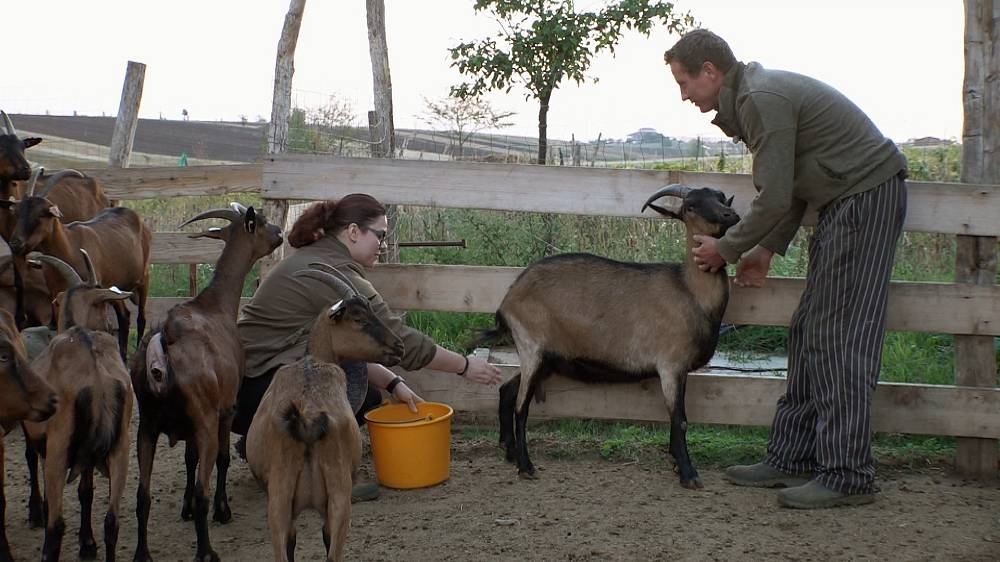 Výměna manželek: Jak si manželka vojáka poradí na rumunské kozí farmě, kde se zastavil čas