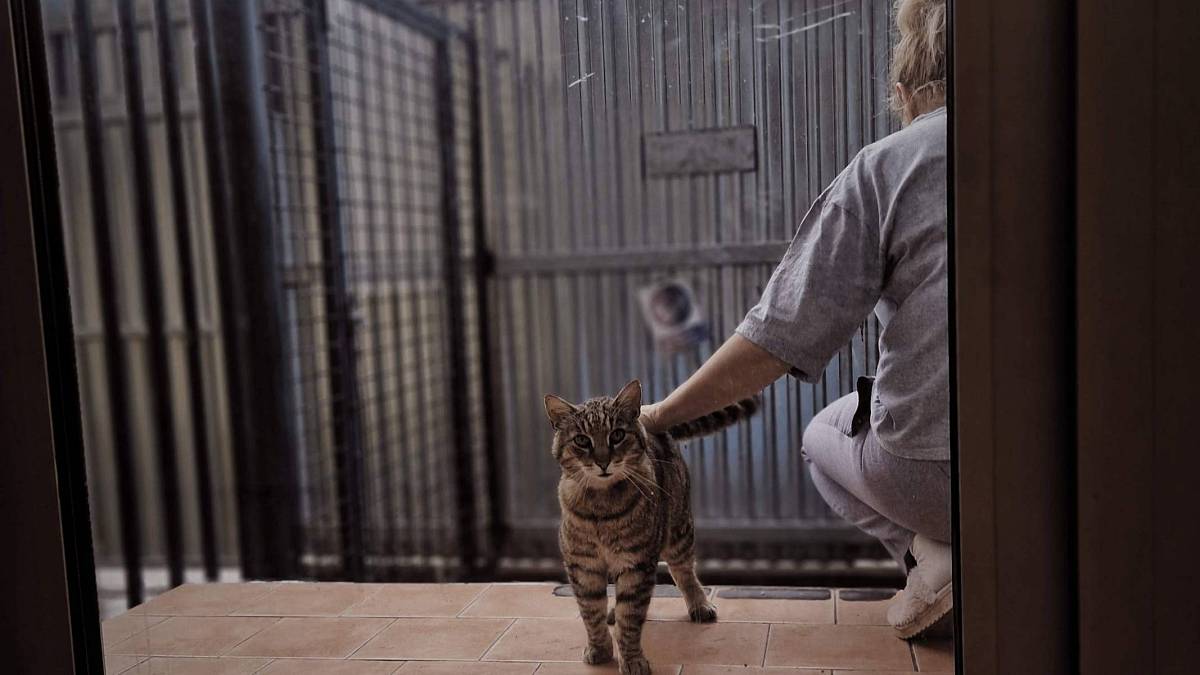 Tváří v tvář trestancům. 2. řada seriálu ukáže syrovou realitu profesního života v českých věznicích Tváří v tvář trestancům. 2. řada seriálu ukáže syrovou realitu profesního života v českých věznicích