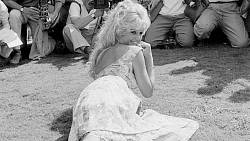 Celebrity pod lupou: Brigitte Bardot vyměnila věčnou slávu za práva zvířat v době, kdy tento problém ještě nikoho nezajímal