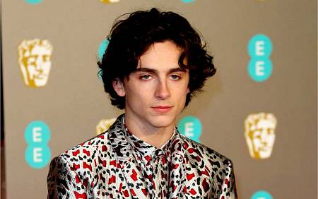 Mladý Timothée Chalamet - Talentovaným a uznávaným hercem již ve 24 letech